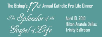 17th_Dinner_Logo_2.jpg