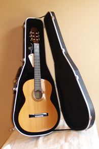 2009_Silent_Auction_Guitar.jpg