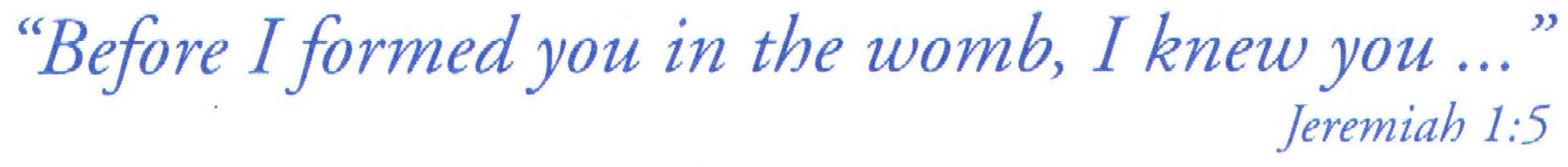 Letterhead_Bottom.jpg
