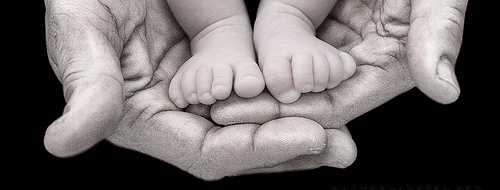 dads_hands.jpg