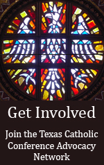 get_involved_banner_dove.jpg