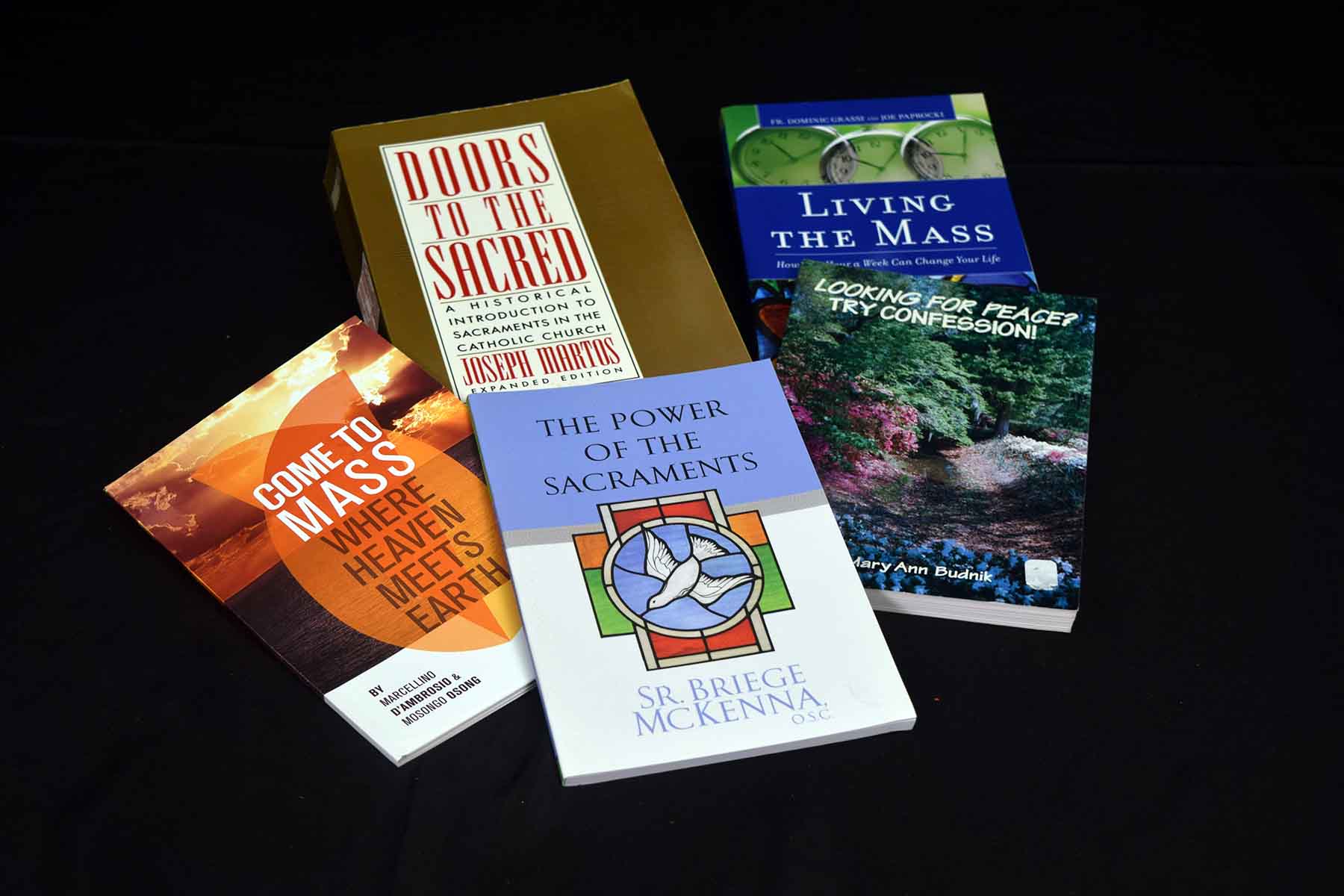 B12_Adult_Religious_Books_-_Living_the_Mass,_Doors_to_the_Sacred,_The_power_of_the_sacraments,_C.jpg