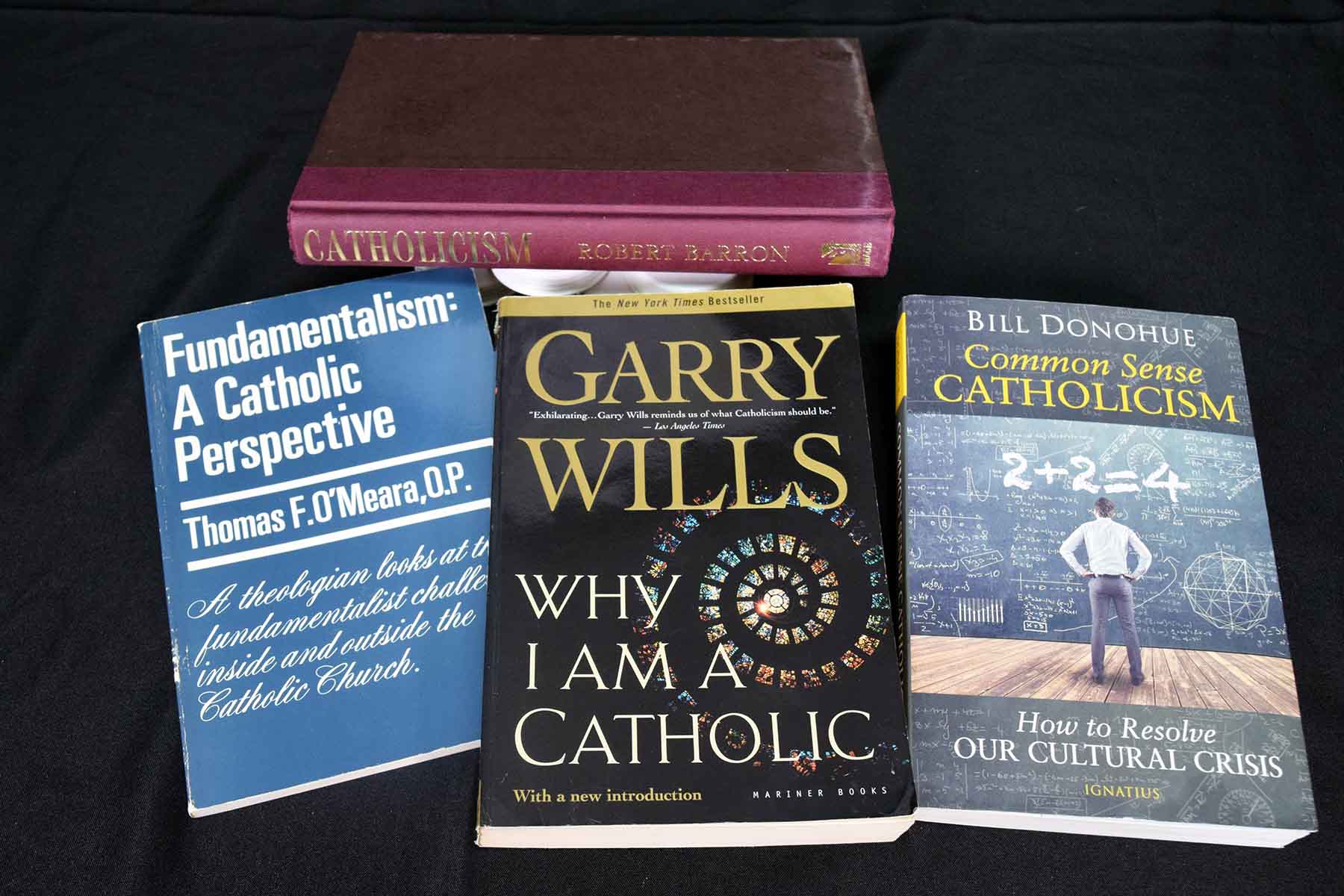 B14_Adult_Religious_Books_-_why_I_am_a_Catholic,_Fundamentalism,_Common_Sense_Catholicism,_Catho.jpg
