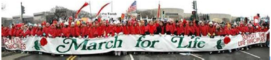 DC_March_for_Life.bmp