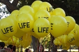 Life_Balloon_Thumbnail.jpg