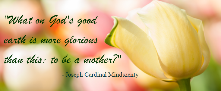 Mothers_Day_Card_2014_Banner.png