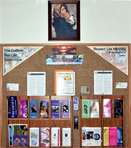 Prolife_board_2.jpg