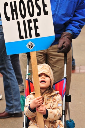 2010_Roe_3.jpg