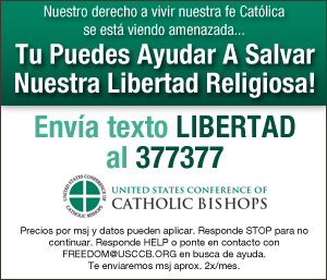  USCCB Spanish Text 
