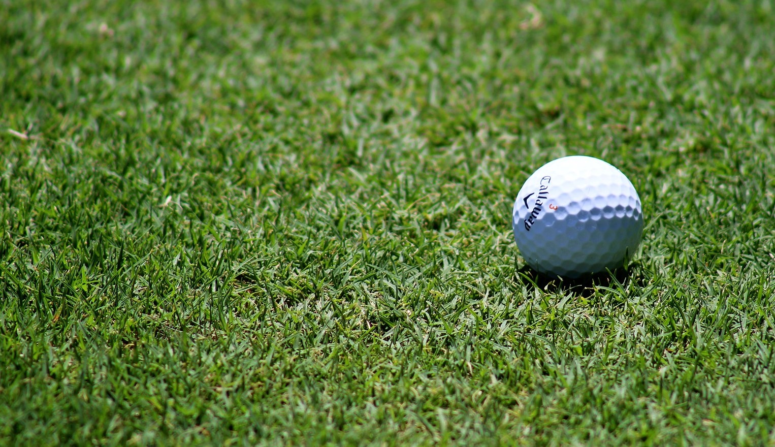 golf-banner.jpg